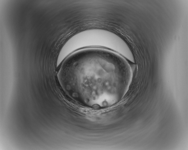 X0000116390048200912021548