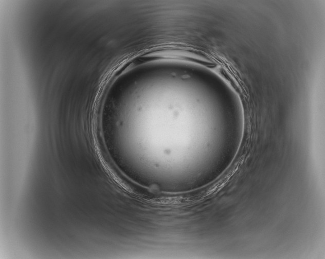 X0000116390049200912021548