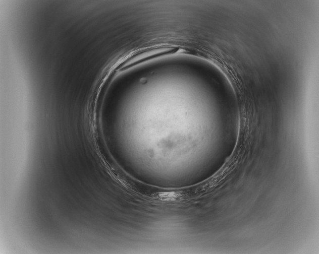 X0000116390050200912021548