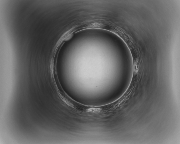 X0000116390051200912021548