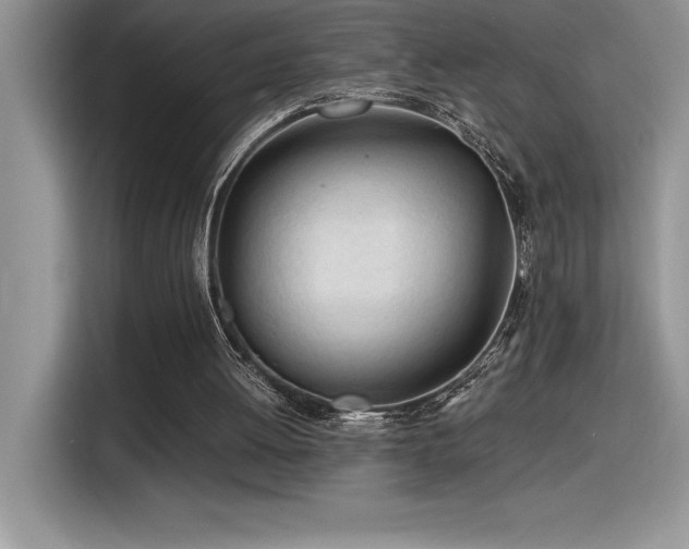 X0000116390052200912021548