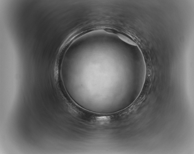X0000116390053200912021548