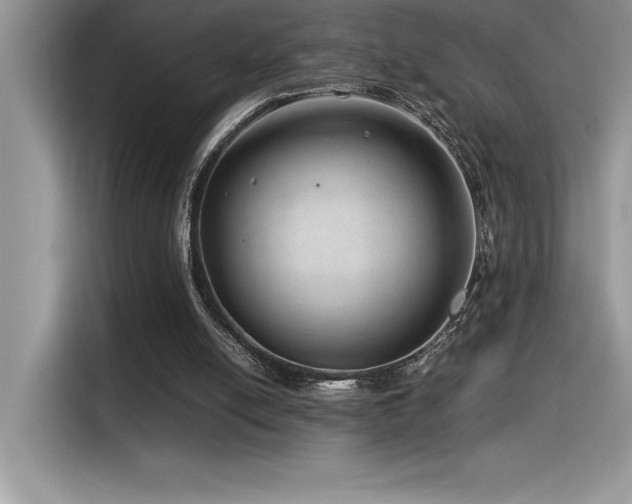 X0000116390054200912021548
