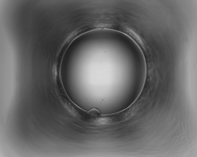 X0000116390059200912021548