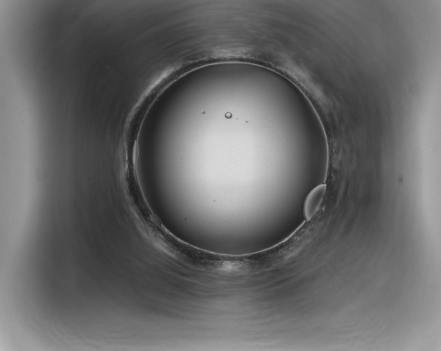 X0000116390060200912021548