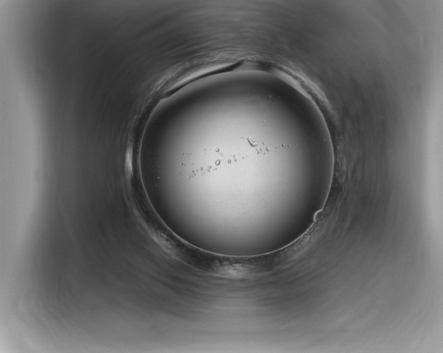 X0000116390062200912021548