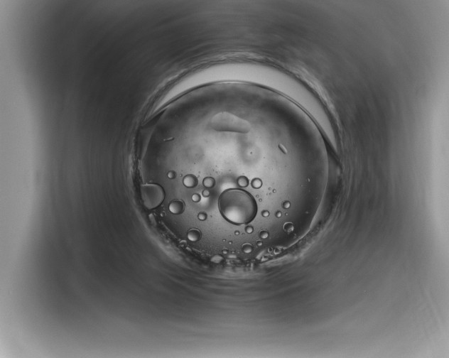 X0000116390063200912021548