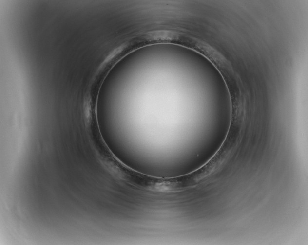 X0000116390064200912021548