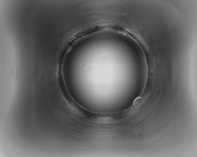 X0000116390066200912021548