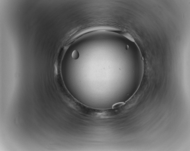X0000116390068200912021548