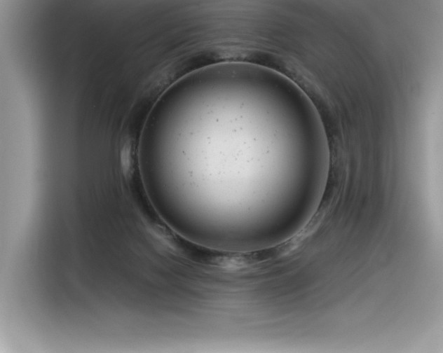 X0000116390074200912021548