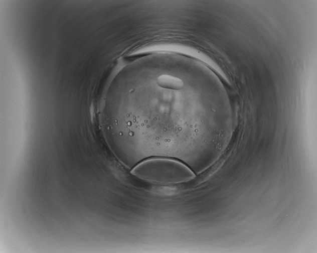 X0000116390075200912021548