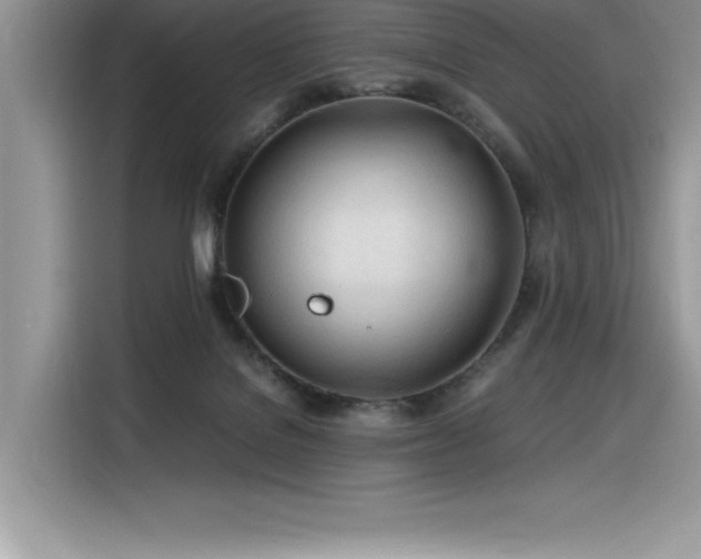 X0000116390076200912021548