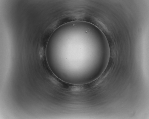 X0000116390077200912021548