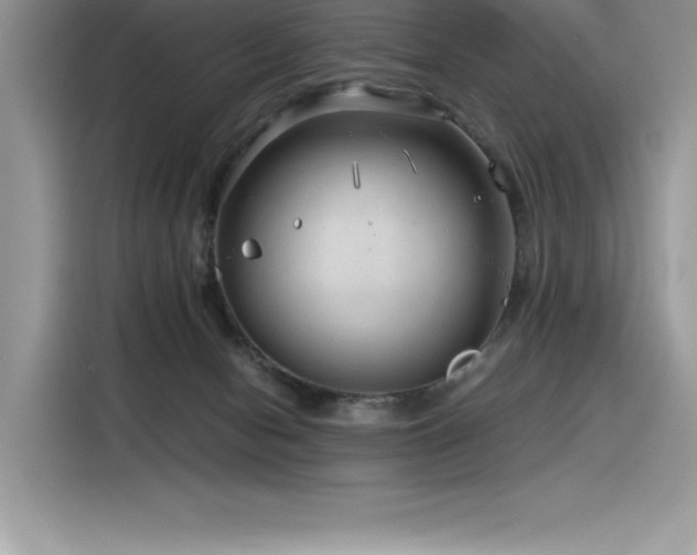 X0000116390078200912021548