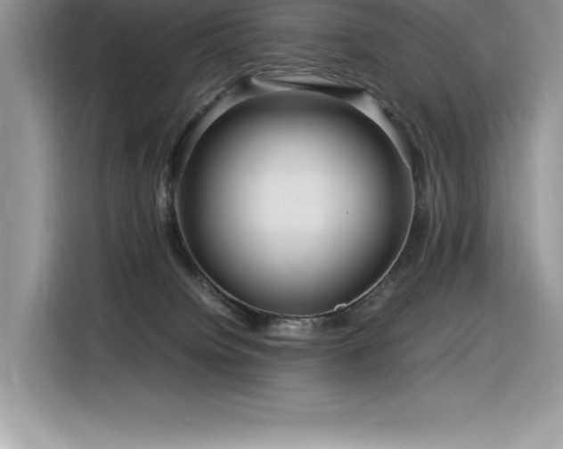 X0000116390084200912021548