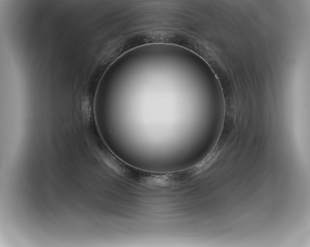 X0000116390086200912021548