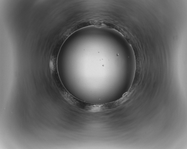 X0000116390090200912021548