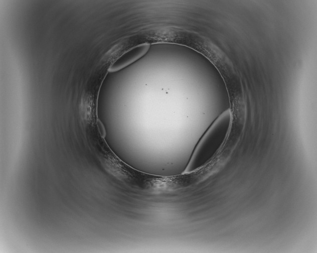 X0000116390092200912021548