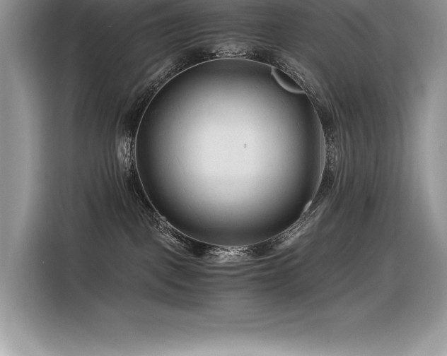 X0000116390093200912021548