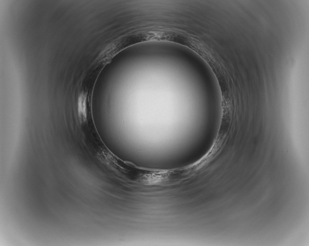 X0000116390094200912021548