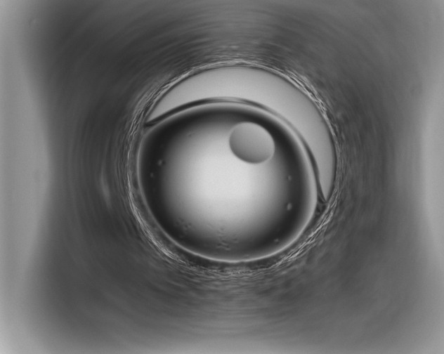 X0000116390097200912021548