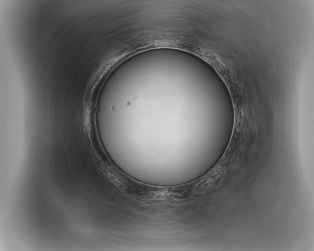X0000116390098200912021548