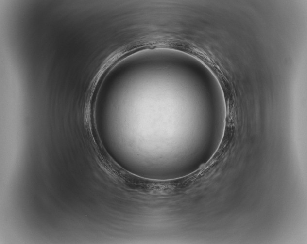 X0000116390099200912021548