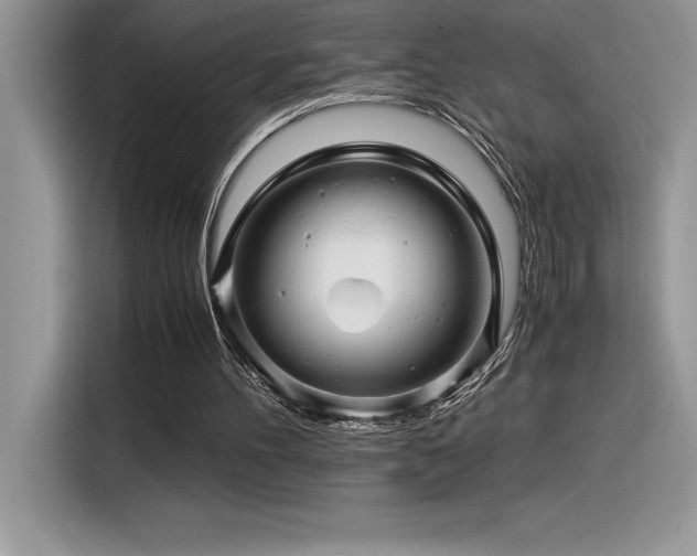 X0000116390100200912021548
