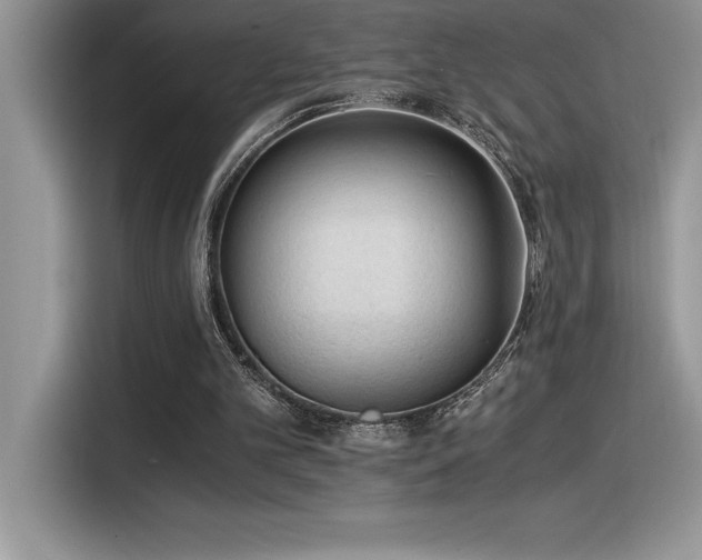X0000116390101200912021548