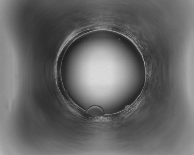 X0000116390102200912021547