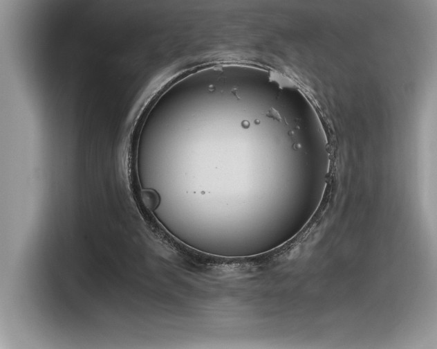 X0000116390103200912021547