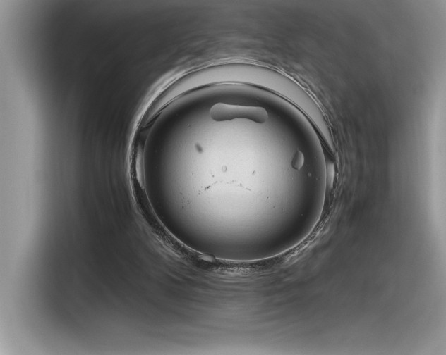 X0000116390104200912021547
