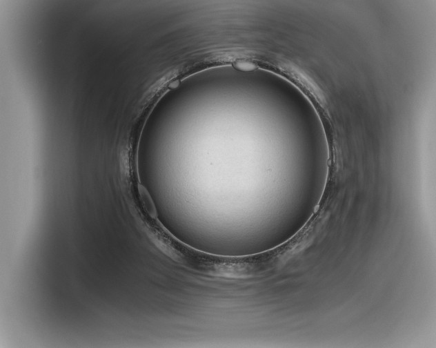 X0000116390105200912021547