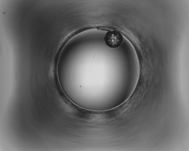 X0000116390107200912021547
