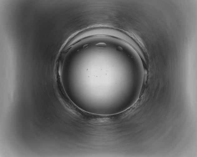 X0000116390108200912021547