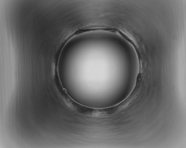 X0000116390109200912021547