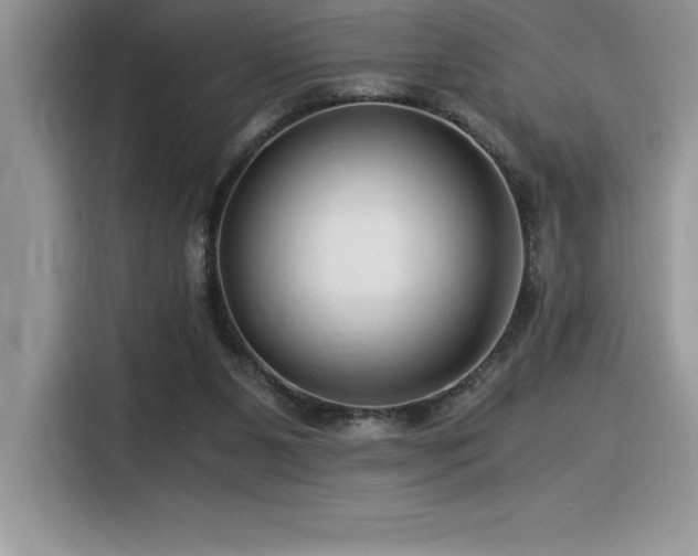 X0000116390111200912021547