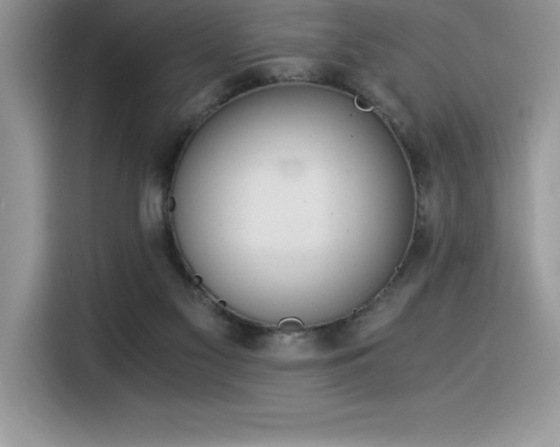 X0000116390117200912021547