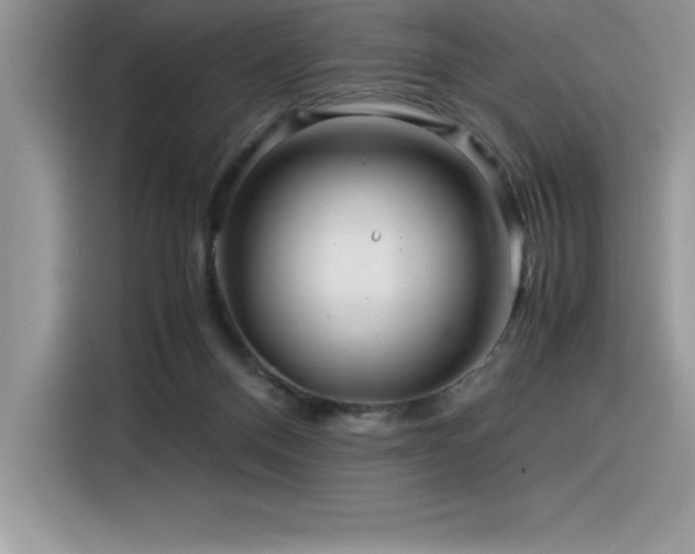 X0000116390120200912021547