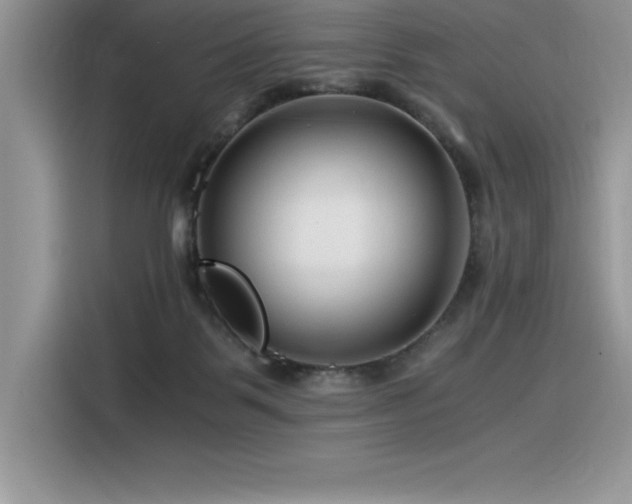 X0000116390123200912021547
