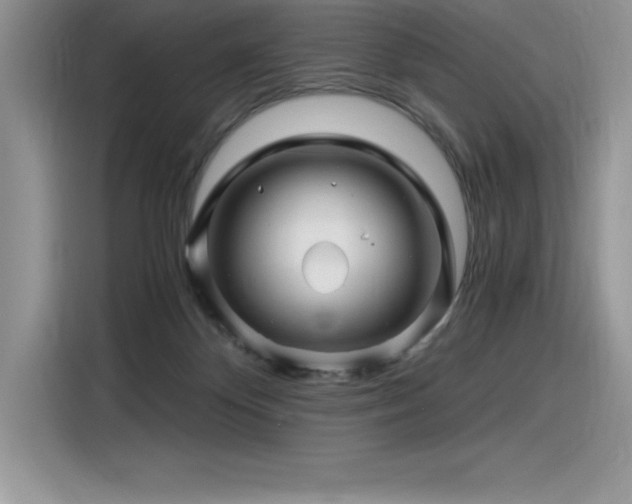 X0000116390124200912021547