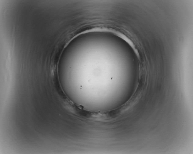 X0000116390125200912021547