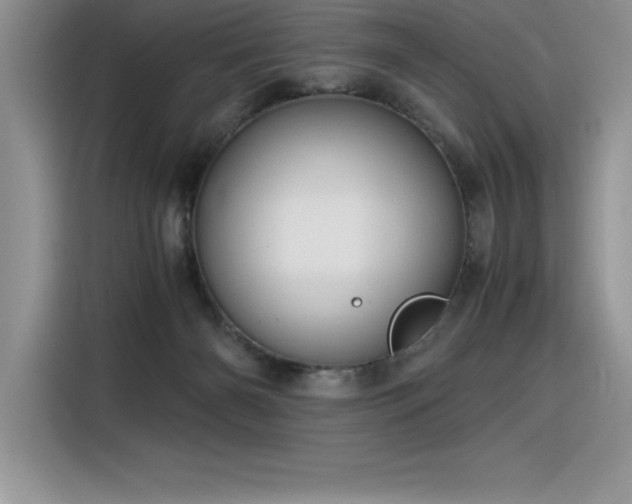 X0000116390126200912021547