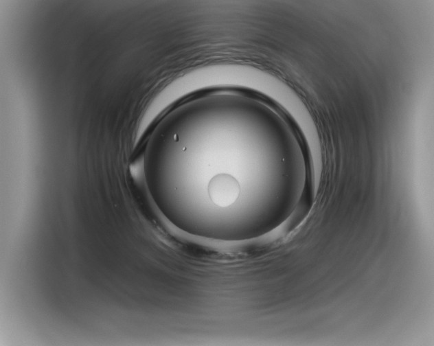 X0000116390128200912021547