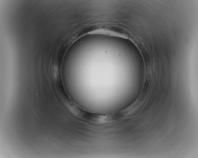 X0000116390130200912021547