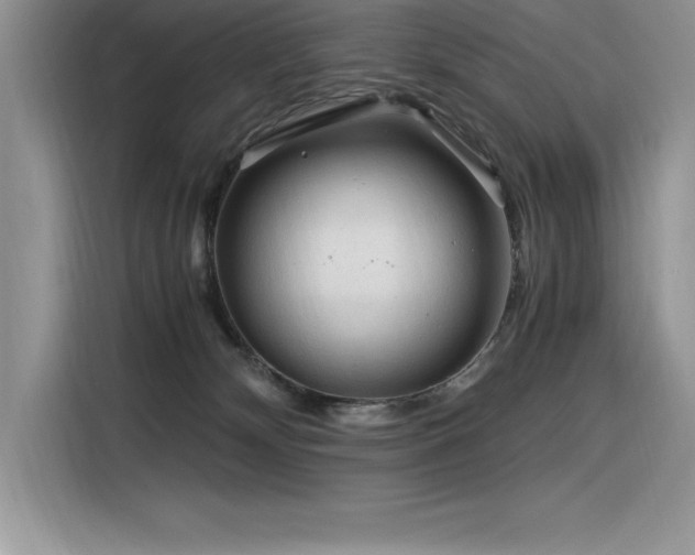 X0000116390132200912021547
