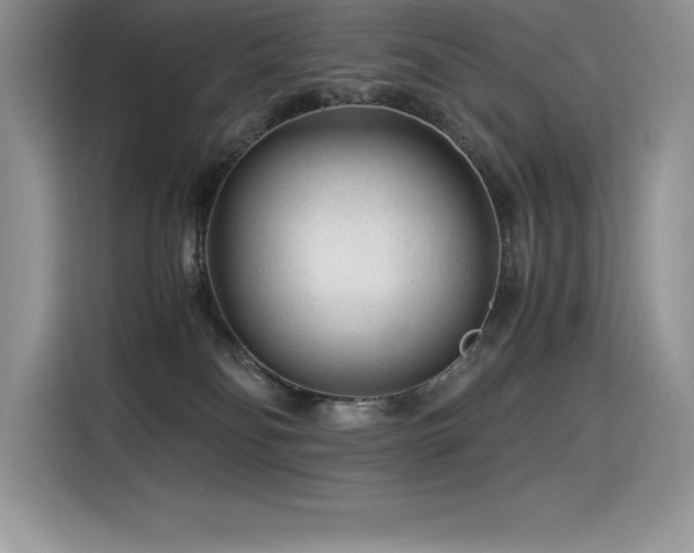 X0000116390134200912021547