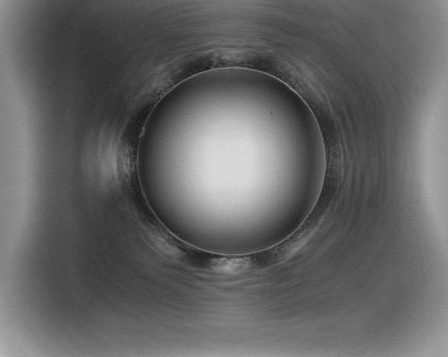 X0000116390135200912021547
