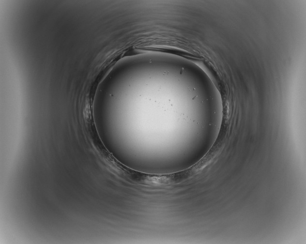X0000116390137200912021547